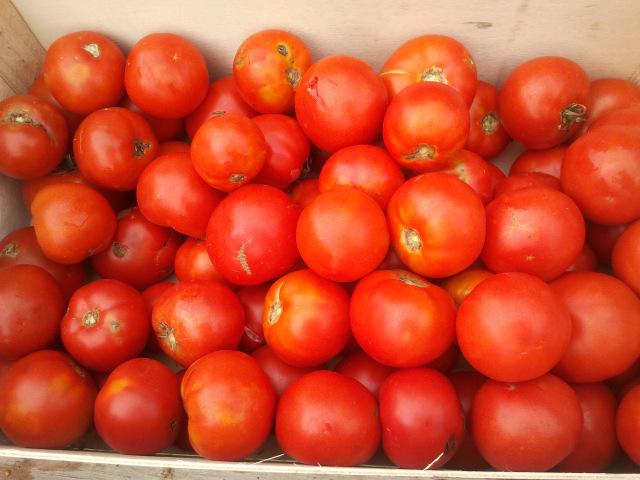 conserva de tomate