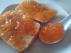 mermelada de albaricoque casera