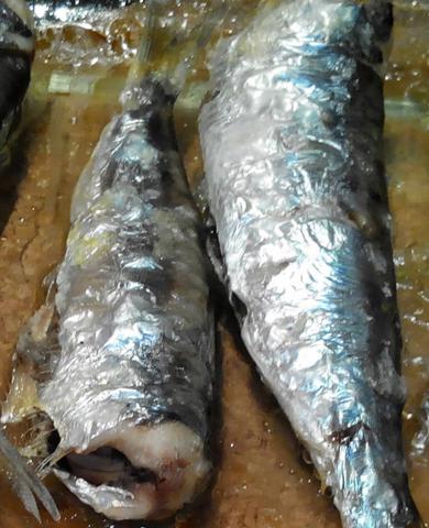 sardinas horno